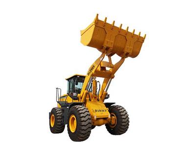 沃爾華DLZ955裝載機